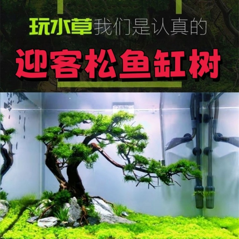 Resin Art And Wood - Bassin à fleurs en bois flotté